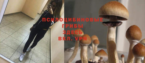 spice Аркадак