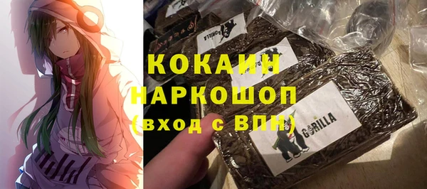 spice Аркадак