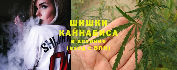 spice Аркадак