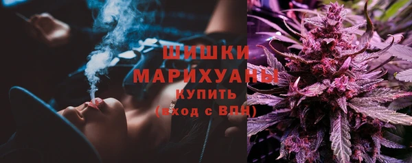 spice Аркадак