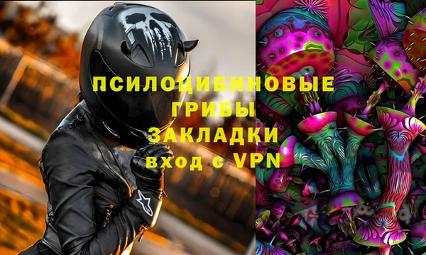 PSILOCYBIN Бутурлиновка