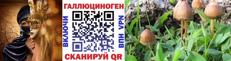 Псилоцибиновые грибы ЛСД  гидра ссылки  Старый Крым  цены наркотик 